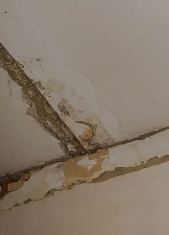 basement-leak-drywall-company