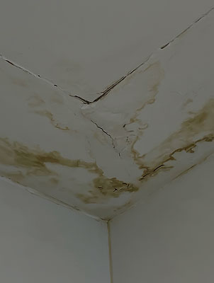 Local-Water-Damage-Repair-services